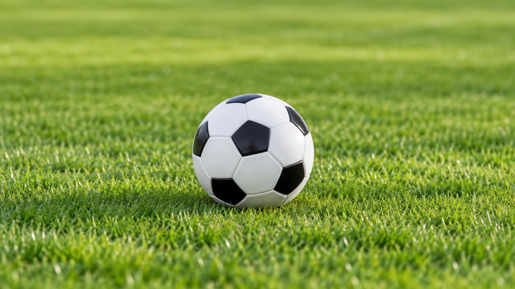 加莱诺的艺术世界探索与创作灵感的深度解析